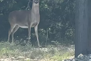 505 John Price St, Blanco, TX 78606 - Photo 40