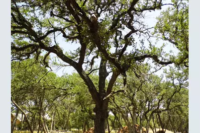 12333B Rr 12 Road #2, Wimberley, TX 78676 - Photo 18