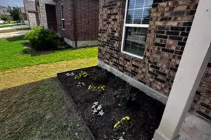 13713 Henry A Wallace Ln, Manor, TX 78653 - Photo 16