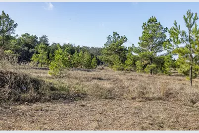 1759 Gotier Trace Road, Paige, TX 78659 - Photo 4