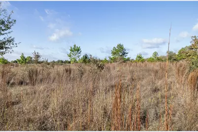 1759 Gotier Trace Road, Paige, TX 78659 - Photo 30