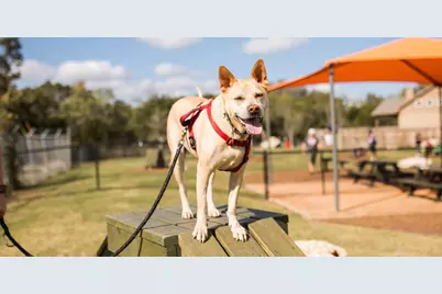 108 Keuchel Lane, Liberty Hill, TX 78642 - Photo 8