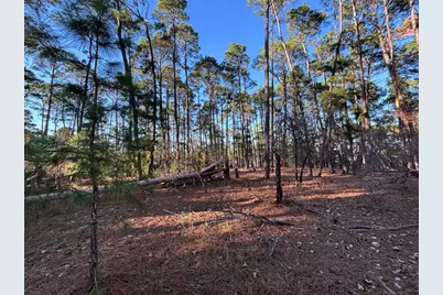 987 Stephen Lane, La Grange, TX 78945 - Photo 8