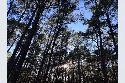 987 Stephen Lane, La Grange, TX 78945 - Photo 1