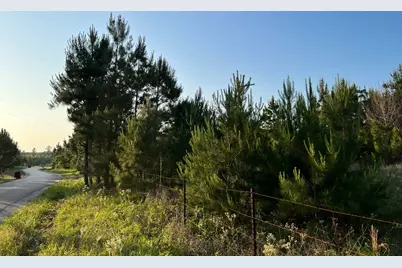 Lot 27 Kinsey Rd, Paige, TX 78659 - Photo 10