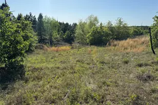 538 Cottletown Rd, Smithville, TX 78957 - Photo 30