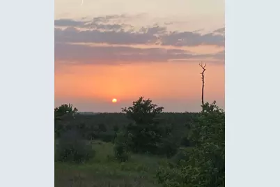 538 Cottletown Road, Smithville, TX 78957 - Photo 38