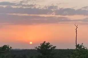 538 Cottletown Rd, Smithville, TX 78957 - Photo 38