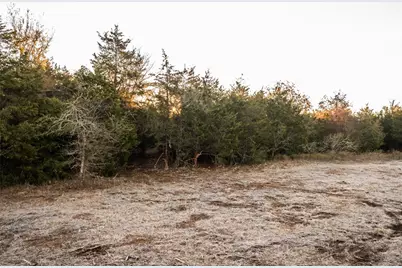 0000 Tbd 21+/- Ac Grassyville Road, Paige, TX 78659 - Photo 4