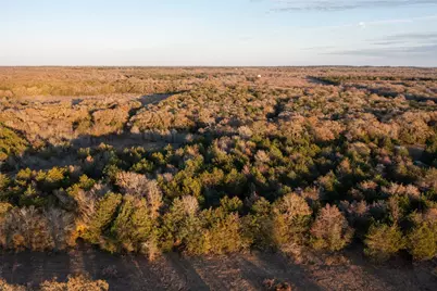 0000 Tbd 21+/- Ac Grassyville Road, Paige, TX 78659 - Photo 2