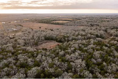 0000 Tbd 21+/- Ac Grassyville Road, Paige, TX 78659 - Photo 16