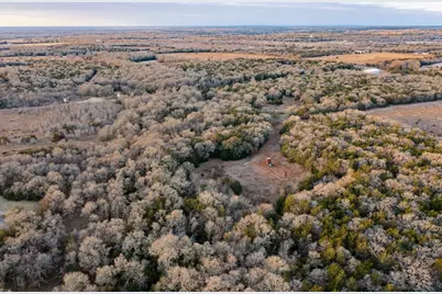 0000 Tbd 21+/- Ac Grassyville Road, Paige, TX 78659 - Photo 12