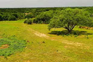 Tbd Cr 321, Bertram, TX 78605 - Photo 1