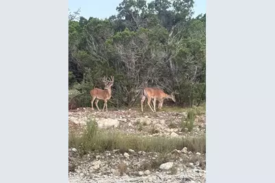 10710 Deer Canyon Road, Jonestown, TX 78645 - Photo 36