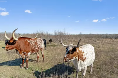0 Rolling Ridge Road, Lockhart, TX 78644 - Photo 2