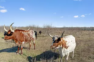 0 Rolling Ridge Rd, Lockhart, TX 78644 - Photo 2