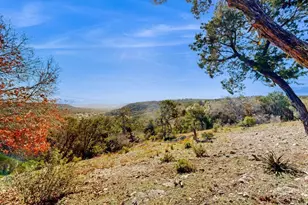 961 Buttercup Ln, Wimberley, TX 78676 - Photo 2