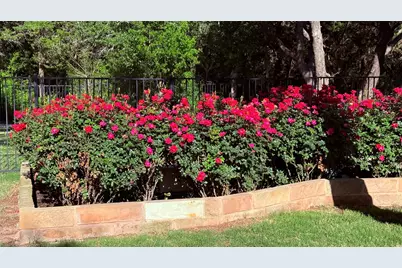 2640 Council Springs Pass, Leander, TX 78641 - Photo 32