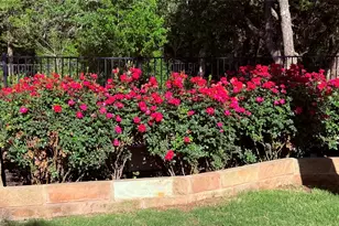 2640 Council Springs Pass, Leander, TX 78641 - Photo 32