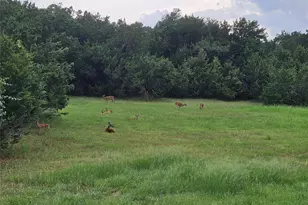 290 Harris Dr, Austin, TX 78737 - Photo 28