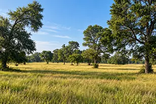 3222 Hwy 21 E, Paige, TX 78659 - Photo 1