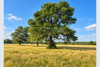 3222 Highway 21 E, Paige, TX 78659 - Photo 4