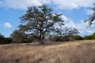 Tbd Burnet Oaks Lot 1 Dr, Burnet, TX 78611 - Photo 6