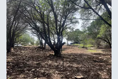 7413 Spanish Oak Drive, Lago Vista, TX 78645 - Photo 6