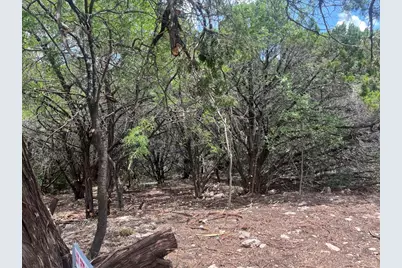 7413 Spanish Oak Drive, Lago Vista, TX 78645 - Photo 4