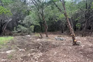 7413 Spanish Oak Dr, Lago Vista, TX 78645 - Photo 1