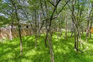 115 Mokulua Ln, Bastrop, TX 78602 - Photo 38