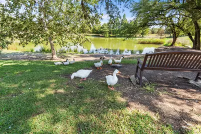 170 Kinloch Court, Austin, TX 78737 - Photo 34