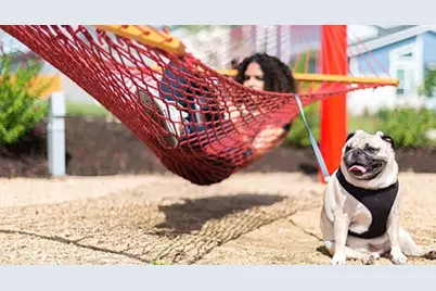 8821 Golden Lion Drive, Austin, TX 78744 - Photo 24