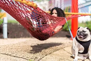 8821 Golden Lion Dr, Austin, TX 78744 - Photo 24