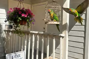 9603 Nightjar Dr, Austin, TX 78748 - Photo 1