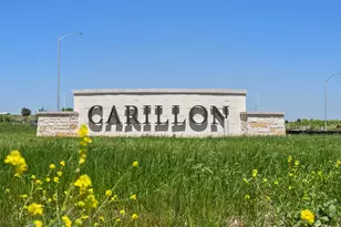 20117 Sinema Wy, Manor, TX 78653 - Photo 40