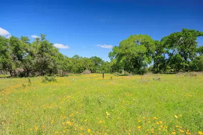 480 Blue Creek Drive, Dripping Springs, TX 78620 - Photo 6
