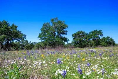 480 Blue Creek Drive, Dripping Springs, TX 78620 - Photo 4