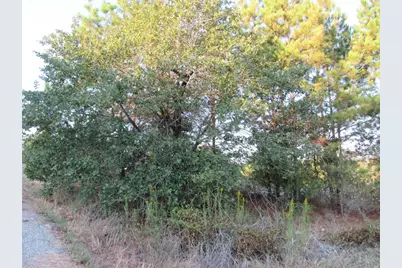 002 Kipahulu Lane, Bastrop, TX 78602 - Photo 1