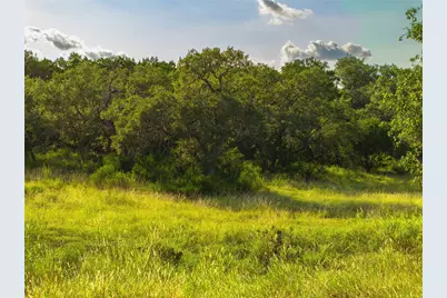 181 Spring Mountain Drive, Canyon Lake, TX 78133 - Photo 4