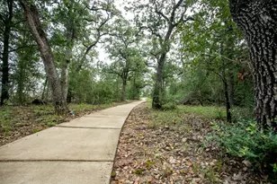 175 Rita Blanca Bnd, Bastrop, TX 78602 - Photo 36