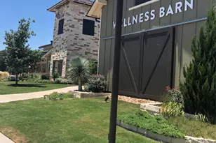 125 Magdalene Way, Liberty Hill, TX 78642 - Photo 28