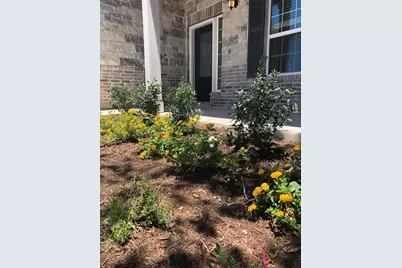 125 Magdalene Way, Liberty Hill, TX 78642 - Photo 4