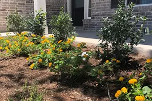 125 Magdalene Way, Liberty Hill, TX 78642 - Photo 4