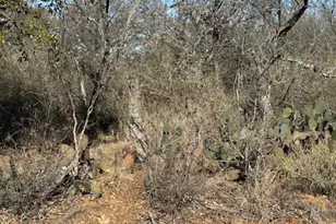 0 Tbd Cedar Dr, Granite Shoals, TX 78654 - Photo 6