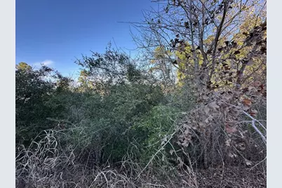 0 Tbd Cedar Drive, Granite Shoals, TX 78654 - Photo 8