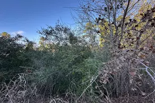 0 Tbd Cedar Dr, Granite Shoals, TX 78654 - Photo 8