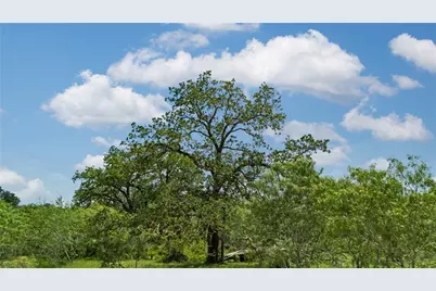 2612 Roosevelt Drive, Kingsbury, TX 78638 - Photo 16
