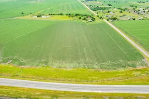 Tbd Fm 973 N, Coupland, TX 78615 - Photo 4