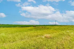 Tbd Fm 973 N, Coupland, TX 78615 - Photo 8